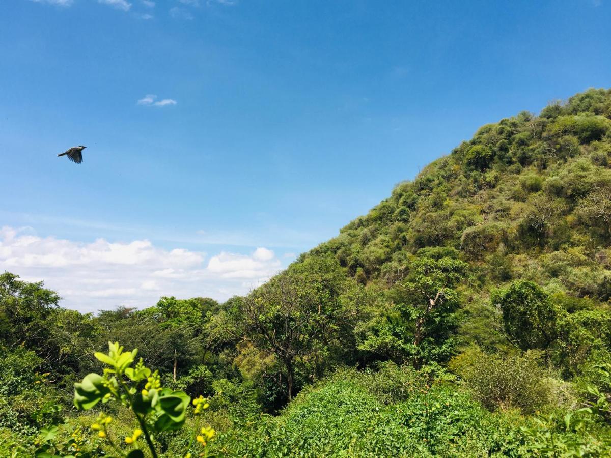 Ava garden backpackers Appartement Mto wa Mbu Buitenkant foto