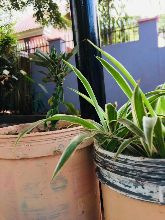 Ava garden backpackers Appartement Mto wa Mbu Buitenkant foto